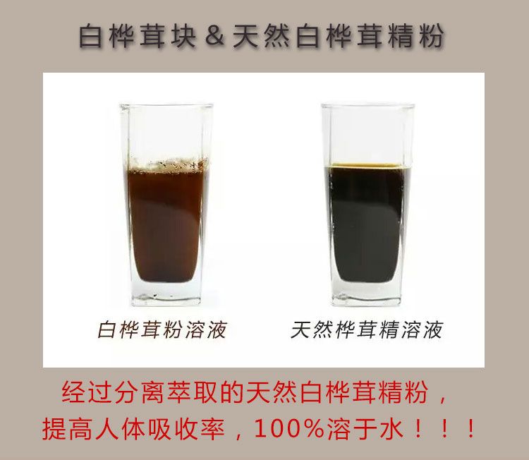 新資源食品-神秘的白樺茸